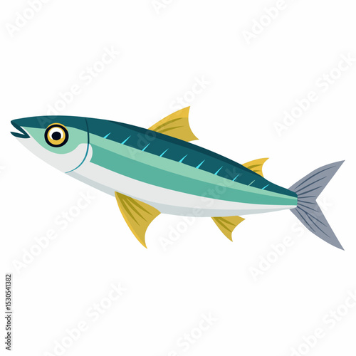 Detailed vector illustration of anchovies featuring a realistic design on a clean white background suitable for various creative projects