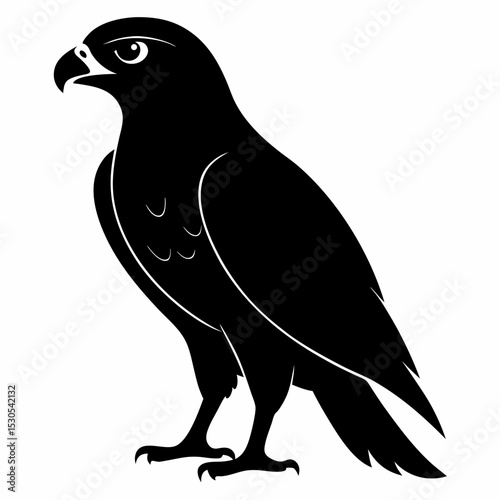 Goshawk silhouette illustration a predatory bird design in black against a clean white background perfect for nature or wildlife themes