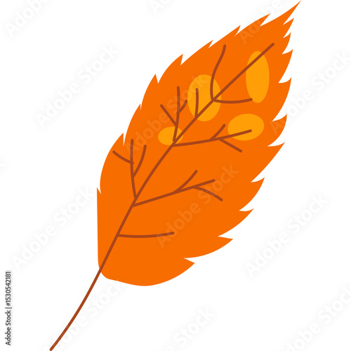 Autumn Leaves Vector