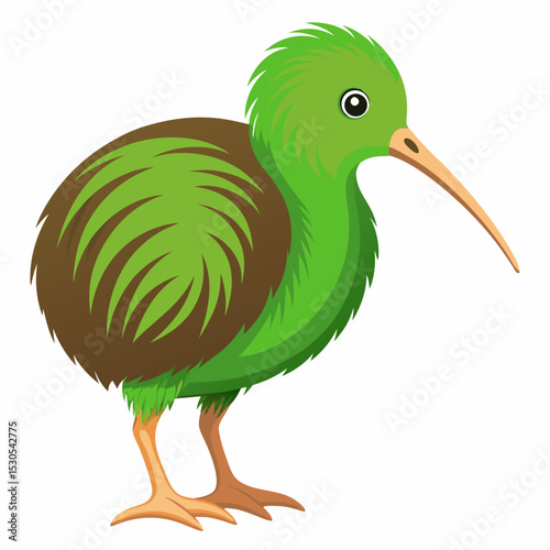 Illustration of a kiwi bird standing on a white background showcasing its unique features and natural habitat in a minimalist