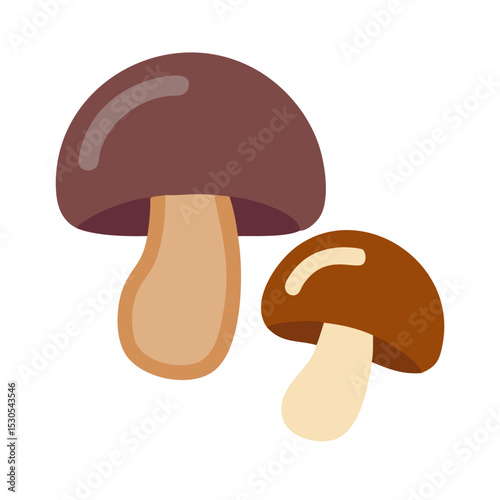 Two red-brown mushrooms with thick stems