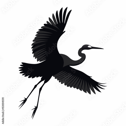 Egret in Flight Silhouette on White A vector illustration of an egret silhouetted against a clean white background wings spread