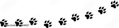 Paw Prints Animal Tracks Path AI Generative