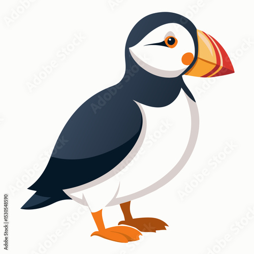 Detailed vector illustration of a puffin bird isolated on a clean white background showcasing its distinctive colorful beak and plumage