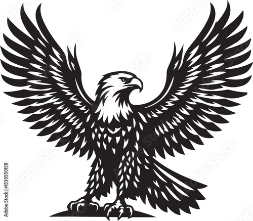 eagle silhouette black and white vector illustration