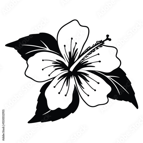 Black and white hibiscus flower blossoms with leaves in detailed silhouette style is captivating