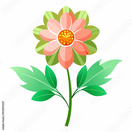 Ursinia Flower Illustration on White Background a Detailed Botanical Vector Design for Floral Projects and Creative Graphic Applications Featuring Vibrant