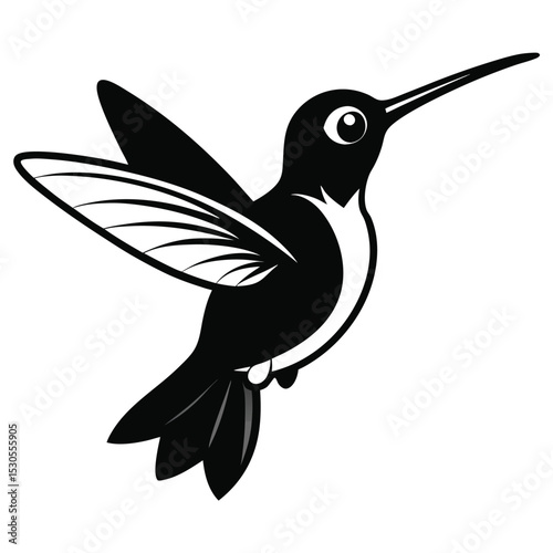 Black and white hummingbird soars with its wing outstretched in this monochrome image