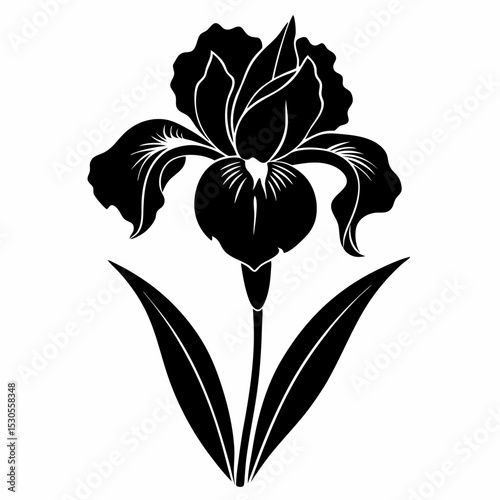 Elegant iris flower silhouette on a clean white background a simple yet striking botanical vector illustration for various design applications