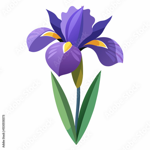 Elegant Iris Flower Illustration on a Clean White Background Perfect for Botanical Designs and Spring Themed Projects with Vibrant Colors