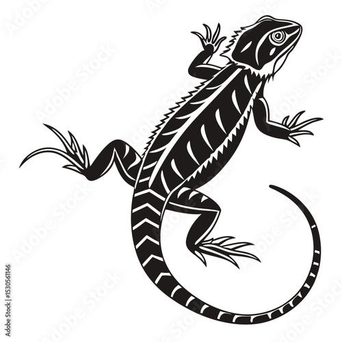 Black lizard art shows detailed scales and a curled tail on white