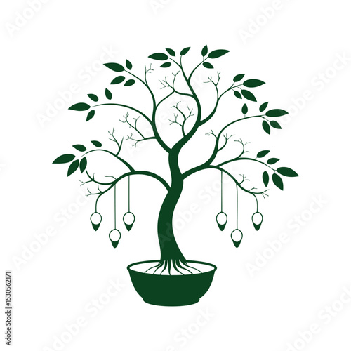 Dream Catchers Hanging From Bonsai Tree