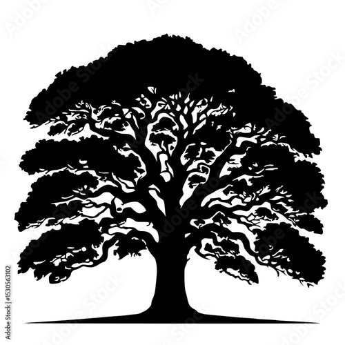 A powerful black silhouette of an old, gnarled tree with a broad, spreading canopy, showcasing intricate branch details.