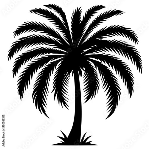 A clean, striking silhouette of a single palm tree, showcasing its characteristic fanned fronds and sturdy trunk.