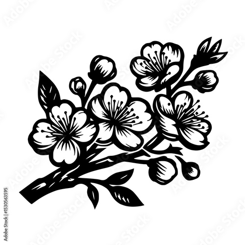A finely detailed black and white illustration of a blossoming branch, featuring multiple small flowers and delicate leaves, likely from a fruit tree.