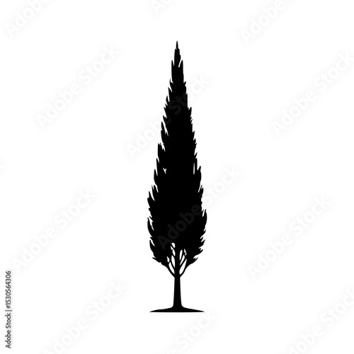 A sharp, upward-pointing silhouette of a slender cypress or conifer tree, characterized by its narrow, conical shape.