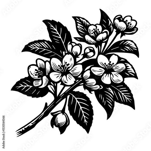 A well-defined illustration of a branch with a group of flowers and leaves, showing a harmonious arrangement.