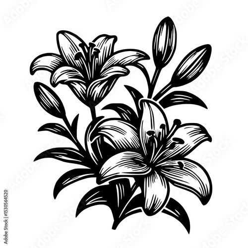 Captivating Illustration of a Group of Lilies, highlighting their tall stems and bell-shaped flowers