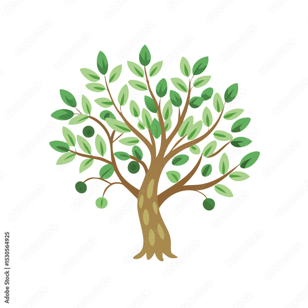 Fototapeta premium Light green tree with sparse leaves