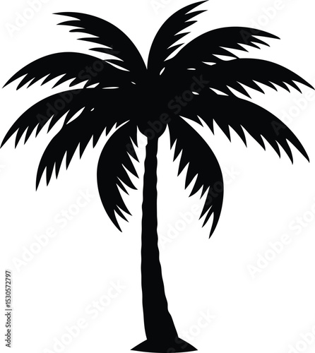 palm tree silhouette