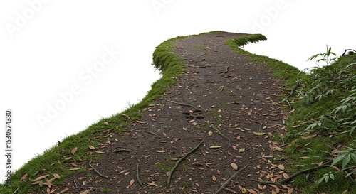 Pathway through greenery scenic nature trail scene isolated on a white background. Winding natural forest dirt path with foliage