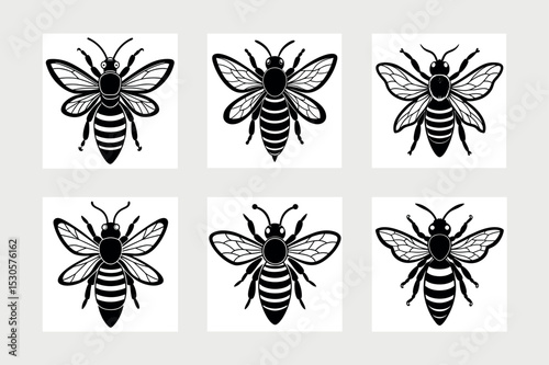           Asian giant hornet bee vector illustration.
