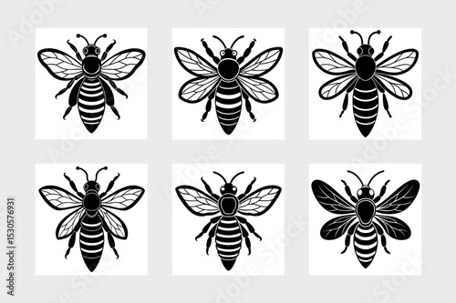           Asian giant hornet bee vector illustration.
