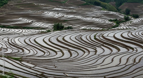 Rice Terrace Field with Curved Steps and Patterned Water Surfaces