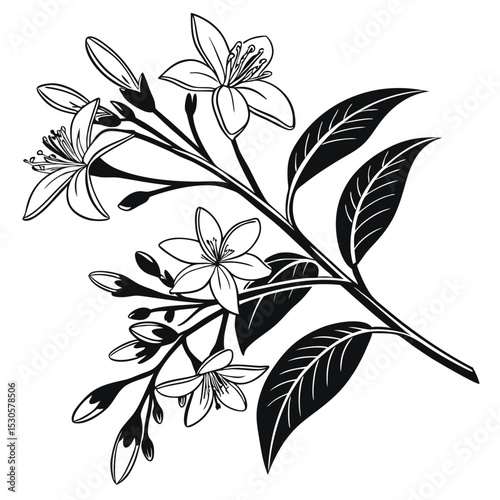 Delicate black and white flower blossoms and leafy branch evoke vintage charm