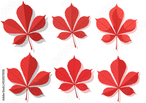 Red chestnut leaf with minimal details and soft shadows on a transparent background in flat modern illustration