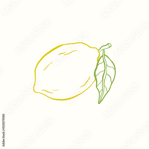 Vector doodle illustration of citrus fruit lemon