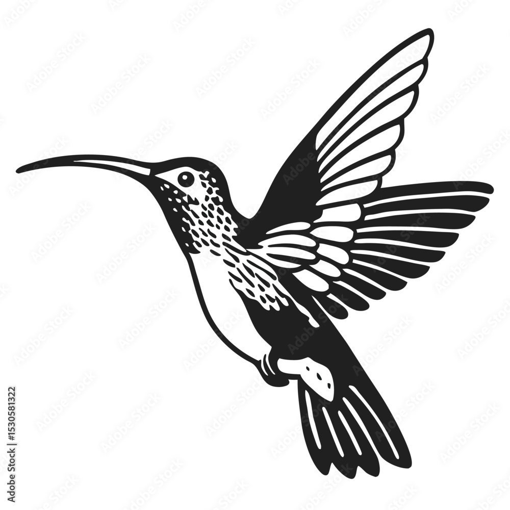 Obraz premium Detailed black silhouette displays a hummingbird midflight, its wings spread dynamically