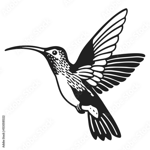 Detailed black silhouette displays a hummingbird midflight, its wings spread dynamically