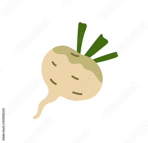 Turnip with tops icon. Natural swede or organic beet for cooking. Root vegetable for healthy eating. Farm food, agriculture crop, harvest. Flat isolated vector illustration on white background