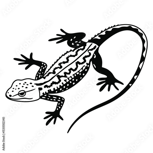 Detailed lizard with patterned body and curled tail shows its unique features clearly