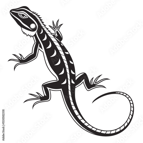 Detailed line lizard showcases the reptile crawling with its curled tail, black and white