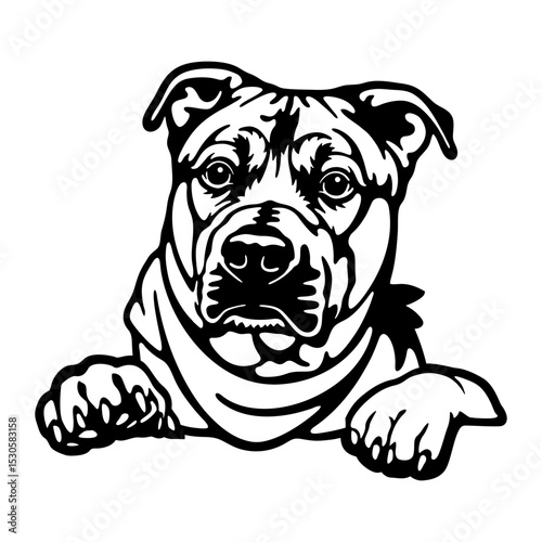 StaffTerrier Dog - Peeking Dog Breed - Pet Dog Vector Portrait, Dog Silhouette Stencil