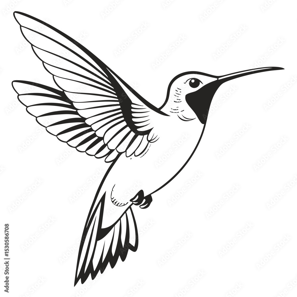 Obraz premium Graceful hummingbird with delicate wings soars elegantly in a timeless monochrome pattern