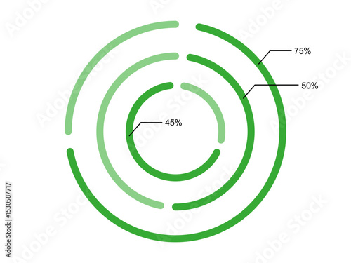 Circular Progress Chart Showing Percentage Completion Levels