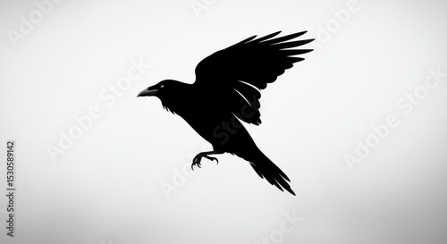 Stylized Raven Silhouette in Profile