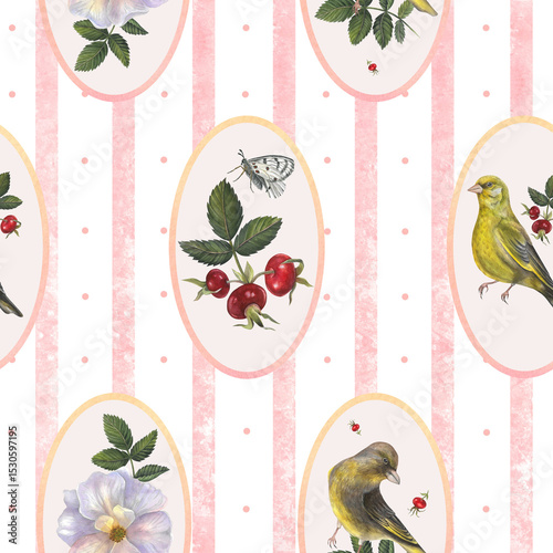 Vintage pink pattern of rose hips, leaves, branches of rose hips, white Apollo butterfly and greenfinch, vertical stripes and oval frames. Watercolor illustrations are hand drawn