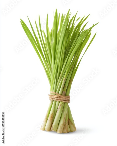 Wallpaper Mural Fresh bunch of lemongrass tied with twine Torontodigital.ca