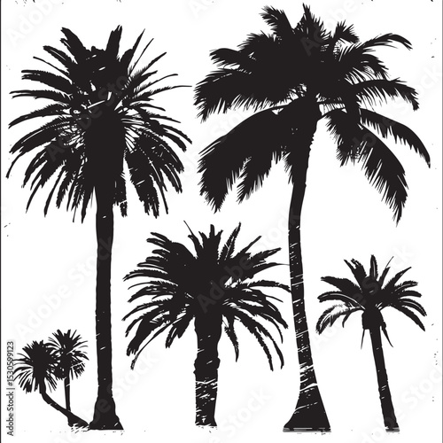 palm tree silhouette collection