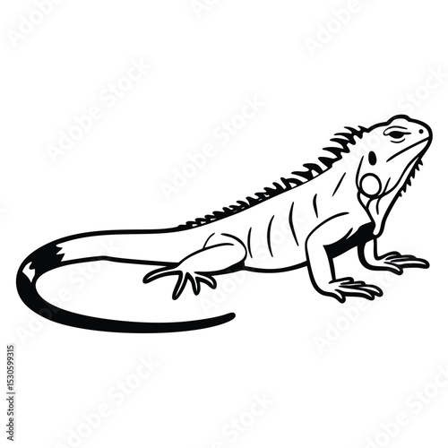 Outline of an iguana exhibits a sharp spine and a robust, dark tail