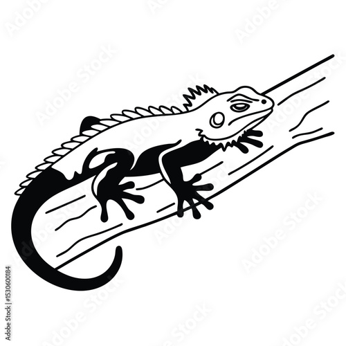Outlined monochrome iguana gracefully perches upon a sturdy tree limb in simple elegance