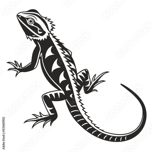 Silhouette shows bearded dragon crawling with detailed line work and distinct patterns on a white backdrop