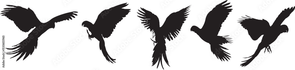 Obraz premium Parrot Silhouettes, Flying Birds, Vector Illustration.