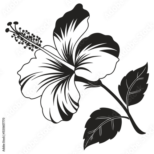 Stylized hibiscus flower with detailed stamen and leaves, rendered in stark black and white contrast