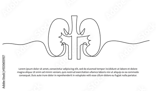 One line human kidneys. Abstract minimal continuous line.