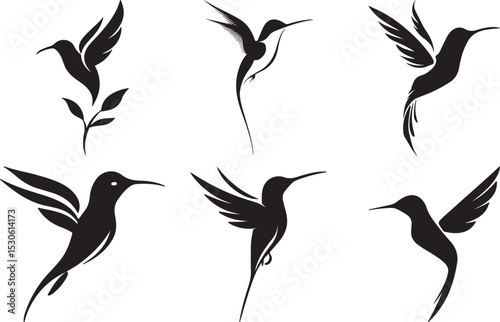 Hummingbird Silhouette Set in Varied Flying and Perching Poses with Leafy Branch Detail in Black Vector